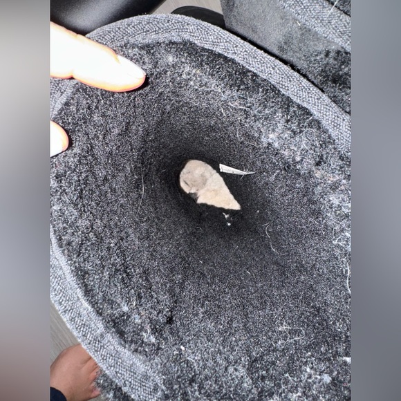 UGG Sunburst tall boots - Picture 10 of 11